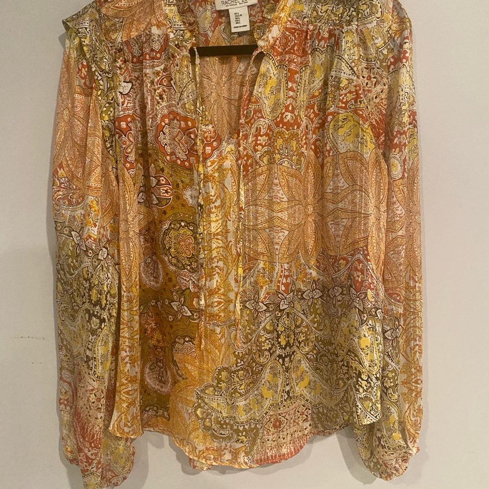 Lovely Rachel Zoe long sleeve sheer blouse